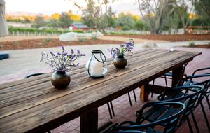 Deboem Vineyard | 20 Acre Organic Vineyard - Ballard, California