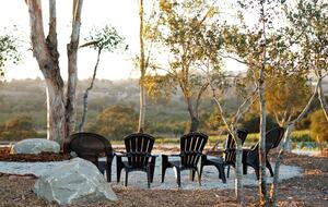 Deboem Vineyard | 20 Acre Organic Vineyard - Ballard, California