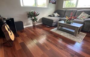 Living room with TV and sofa that pulls out to double bed