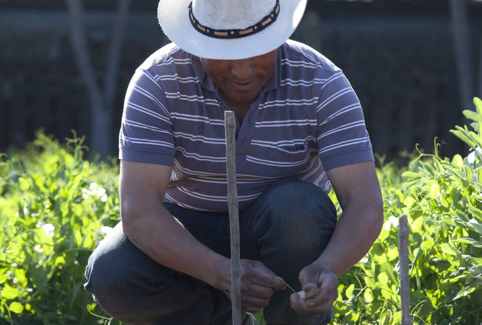 Olivo Santo Estate - Laguna de Zapallar, Chile