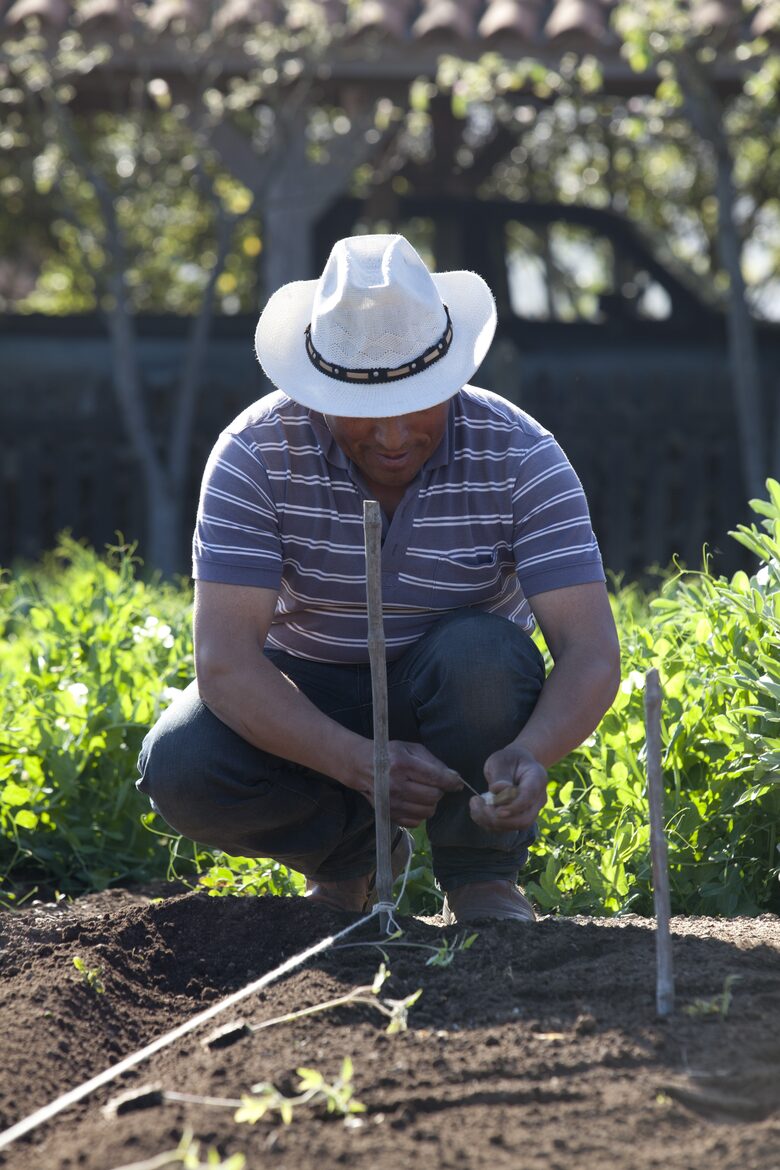 Olivo Santo Estate - Laguna de Zapallar, Chile