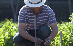 Olivo Santo Estate - Laguna de Zapallar, Chile