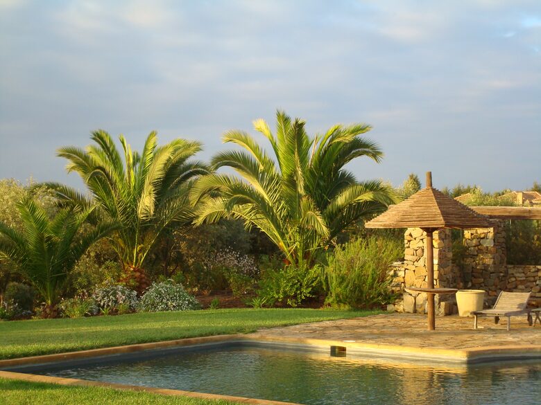 Olivo Santo Estate - Laguna de Zapallar, Chile