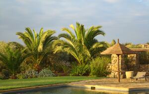 Olivo Santo Estate - Laguna de Zapallar, Chile