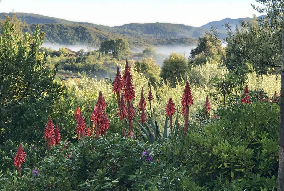 Olivo Santo Estate - Laguna de Zapallar, Chile