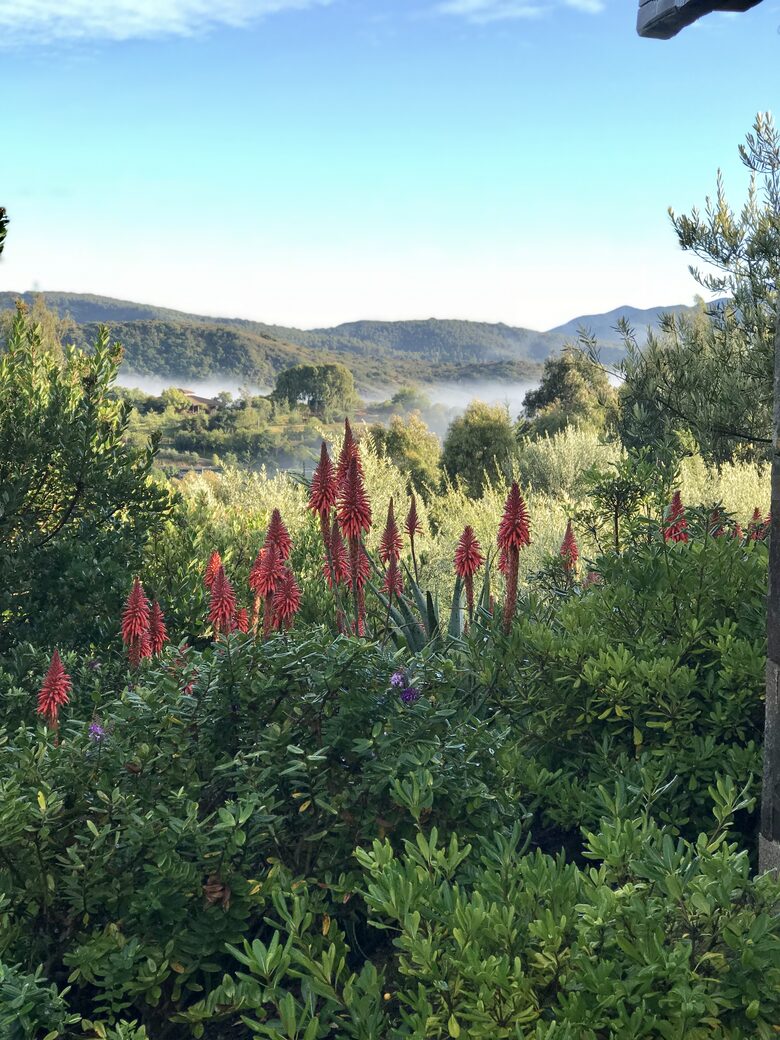 Olivo Santo Estate - Laguna de Zapallar, Chile