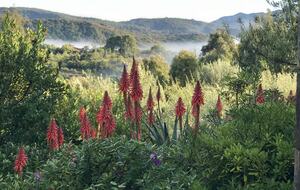 Olivo Santo Estate - Laguna de Zapallar, Chile