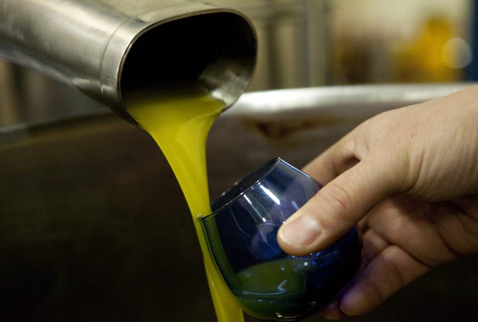 Olivo Santo Estate - Laguna de Zapallar, Chile