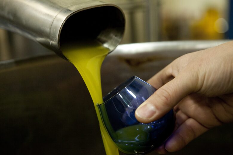 Olivo Santo Estate - Laguna de Zapallar, Chile