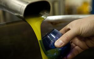 Olivo Santo Estate - Laguna de Zapallar, Chile