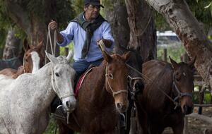 Olivo Santo Estate - Laguna de Zapallar, Chile
