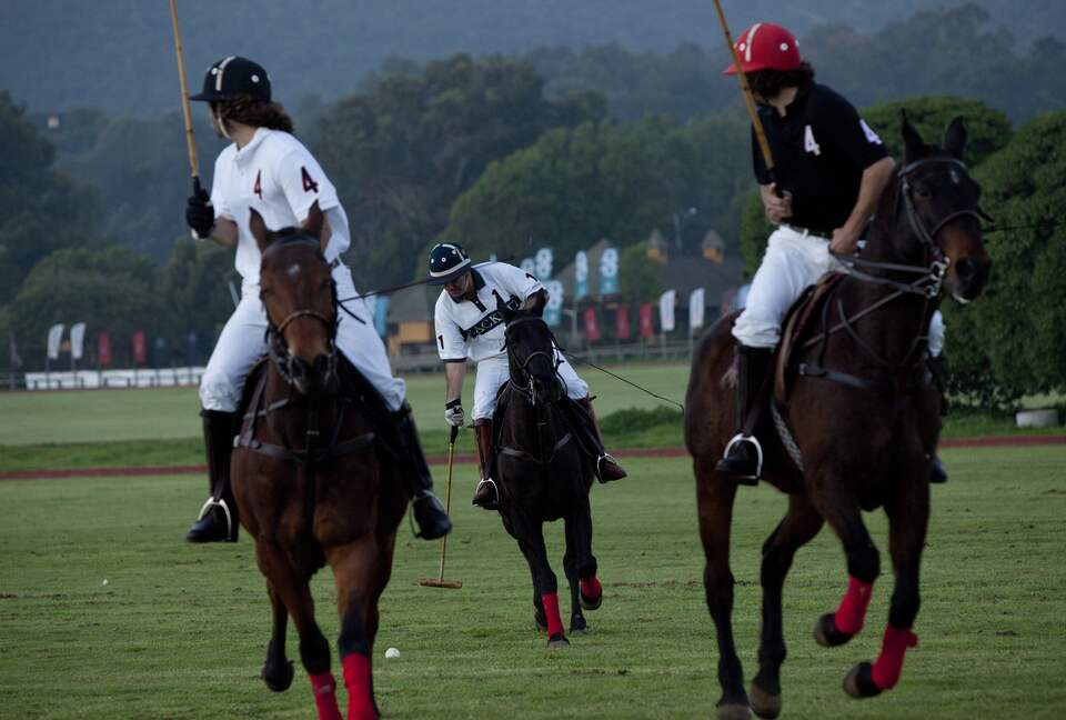 Olivo Santo Estate - Laguna de Zapallar, Chile