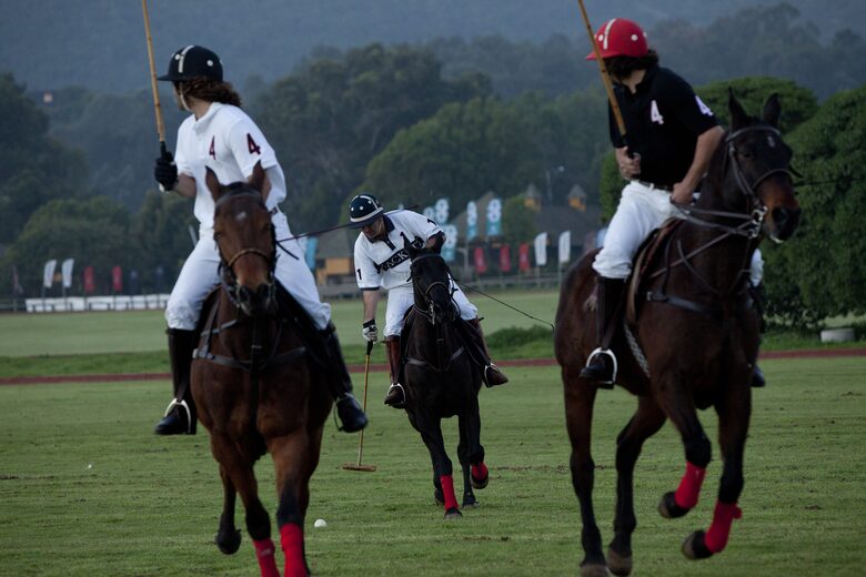 Olivo Santo Estate - Laguna de Zapallar, Chile