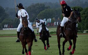 Olivo Santo Estate - Laguna de Zapallar, Chile