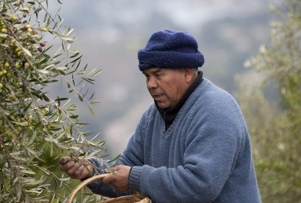 Olivo Santo Estate - Laguna de Zapallar, Chile