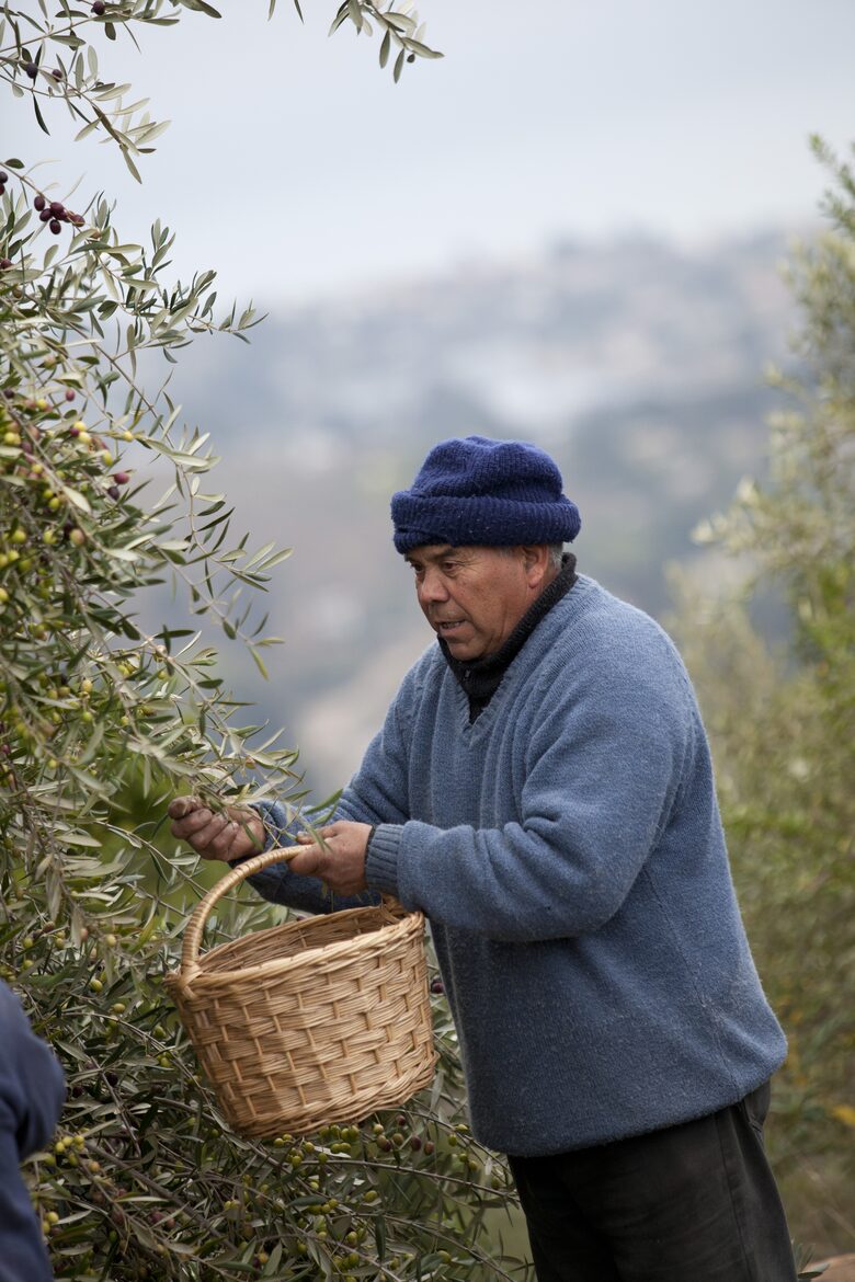 Olivo Santo Estate - Laguna de Zapallar, Chile