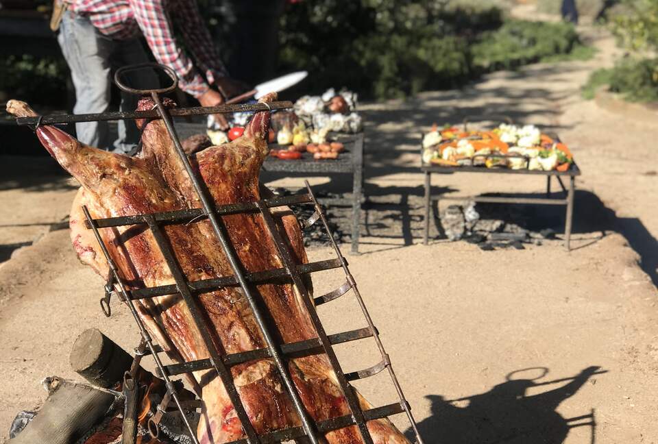 Olivo Santo Estate - Laguna de Zapallar, Chile