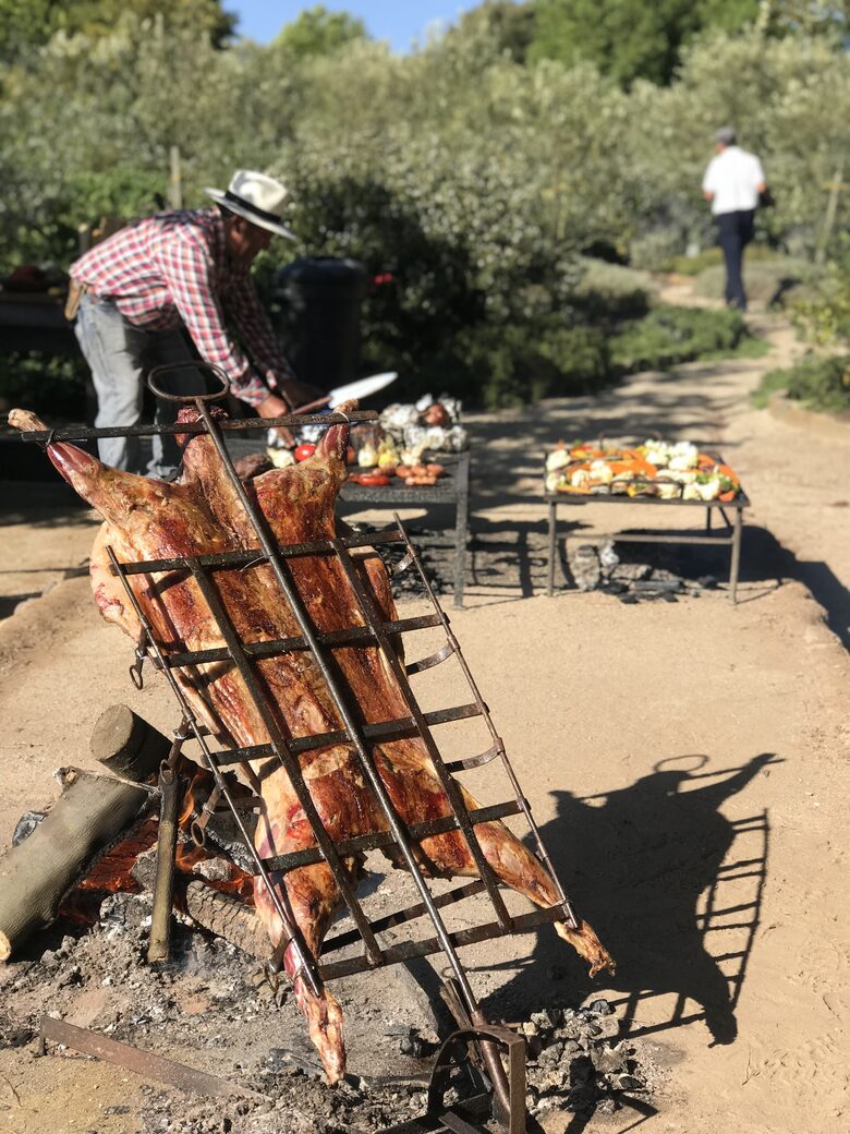 Olivo Santo Estate - Laguna de Zapallar, Chile