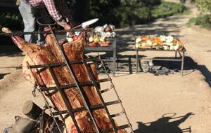 Olivo Santo Estate - Laguna de Zapallar, Chile