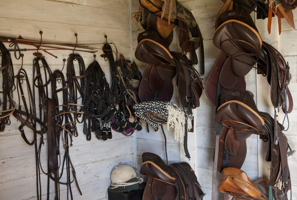 Olivo Santo Estate - Laguna de Zapallar, Chile