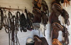 Olivo Santo Estate - Laguna de Zapallar, Chile