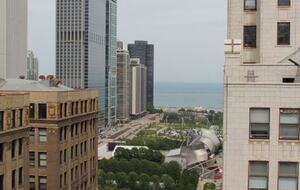 1-Bedroom Restored Vintage Loft in the Heart of Chicago - Chicago, Illinois