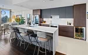 Luxury Condo with Stunning Vistas of the harbour, ocean and mountains - Victoria, Canada