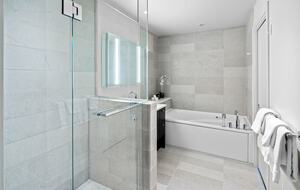 Master bathroom with separate tub