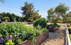 The Grove Estate Sonoma - Sonoma, California