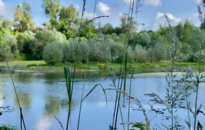 Château d'Isle-sur-Marne (R) - Isle sur Marne, France