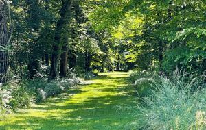 Château d'Isle-sur-Marne (R) - Isle sur Marne, France