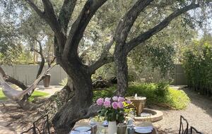 Casa de Oliva - Palm Springs, California