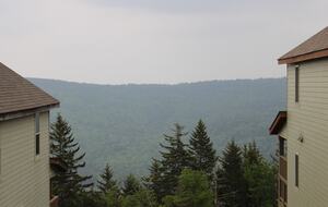 Black Bear Crossing #35 | Ski In/ Ski Out, Steps to Black Bear and Powder Ridge - Snowshoe, West Virginia