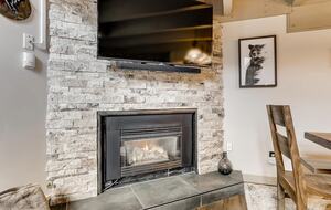 Bear Lodge at Copper Mountain - Frisco, Colorado