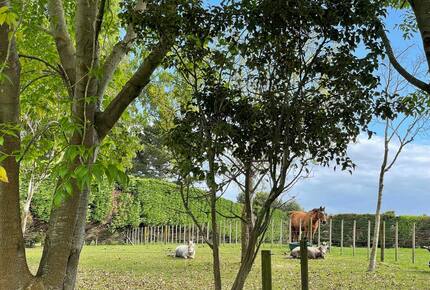 You are welcome to walk around and meet the animals