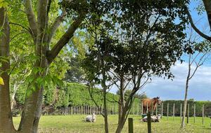 You are welcome to walk around and meet the animals