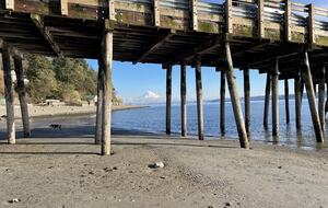 Waterfront retreat on Vashon; with a beach and hot tub! - Vashon, Washington