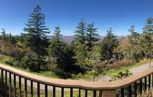 Snowshoe Black Bear Crossing #8 - Snowshoe, West Virginia