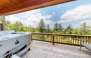 Snowshoe Black Bear Crossing #8 - Snowshoe, West Virginia