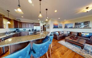 Snowshoe Black Bear Crossing #8 - Snowshoe, West Virginia