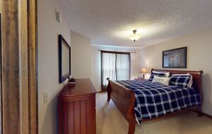 Snowshoe Black Bear Crossing #8 - Snowshoe, West Virginia