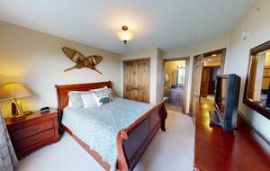 Snowshoe Black Bear Crossing #8 - Snowshoe, West Virginia