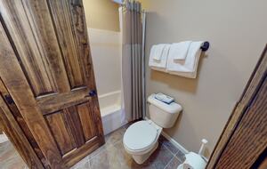 Snowshoe Black Bear Crossing #8 - Snowshoe, West Virginia