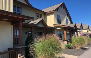 Snowshoe Black Bear Crossing #8 - Snowshoe, West Virginia