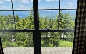 Snowshoe Black Bear Crossing #8 - Snowshoe, West Virginia