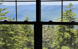 Snowshoe Black Bear Crossing #8 - Snowshoe, West Virginia