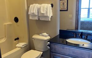 Snowshoe Black Bear Crossing #8 - Snowshoe, West Virginia