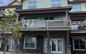 Snowshoe Black Bear Crossing #8 - Snowshoe, West Virginia