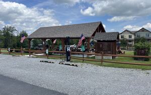 Snowshoe Black Bear Crossing #8 - Snowshoe, West Virginia