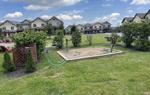 Snowshoe Black Bear Crossing #8 - Snowshoe, West Virginia